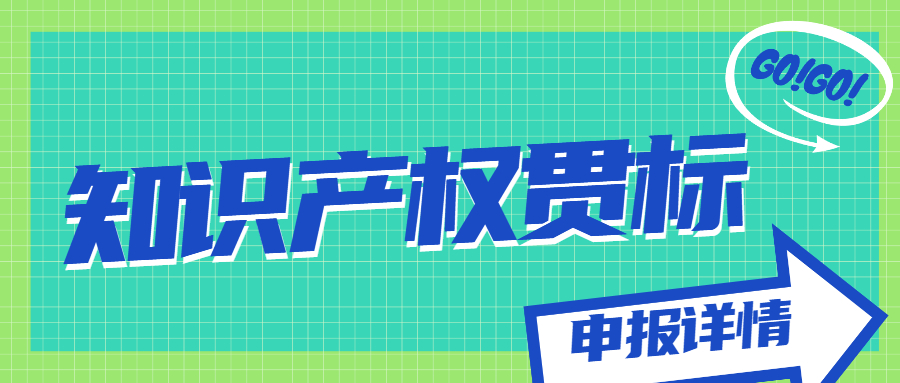 知識(shí)產(chǎn)權(quán)貫標(biāo)